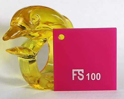 FS100