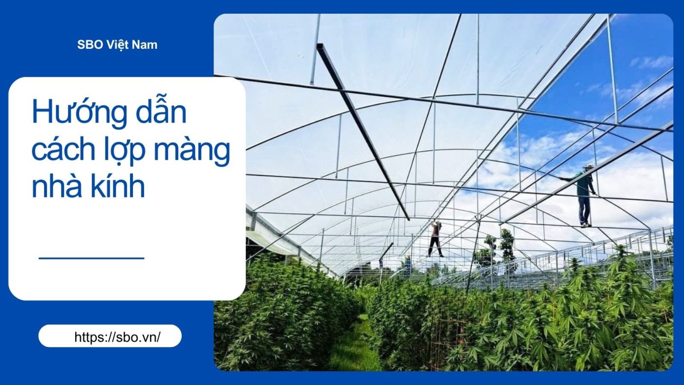 Hướng dẫn cách lợp màng nhà kính, nhà màng đúng chuẩn từ A-Z