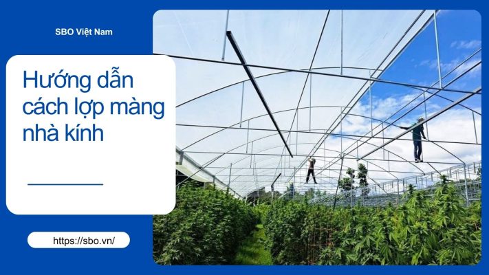 Hướng dẫn cách lợp màng nhà kính, nhà màng đúng chuẩn từ A-Z