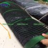 Lưới che nắng 40%