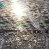 Lưới che nắng 60%