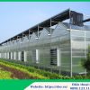 Tấm lợp lấy sáng trồng rau