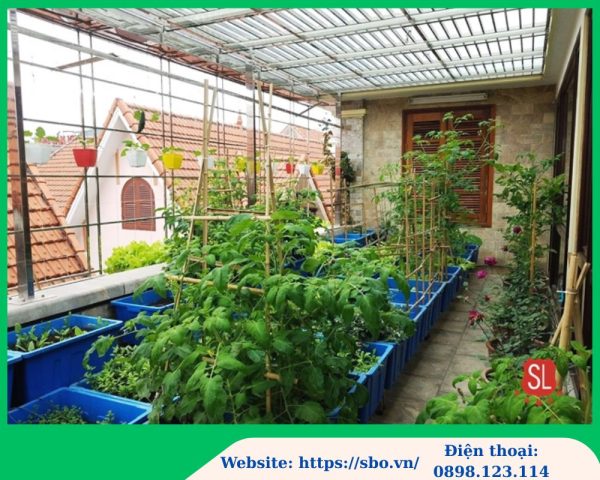 Tấm lợp lấy sáng trồng rau