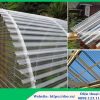 Tấm lợp lấy sáng trồng rau