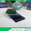 Tấm poly rỗng ruột 4mm Xlite